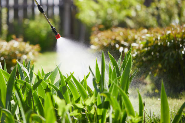 Tamper-Resistant Bait Stations for Rodents in Mission