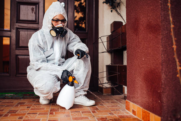 Attic and Crawl Space Rodent Treatment in Mission